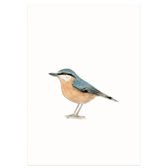 Stokwolf - Boomklever aquarel-Kaart-DutchMills