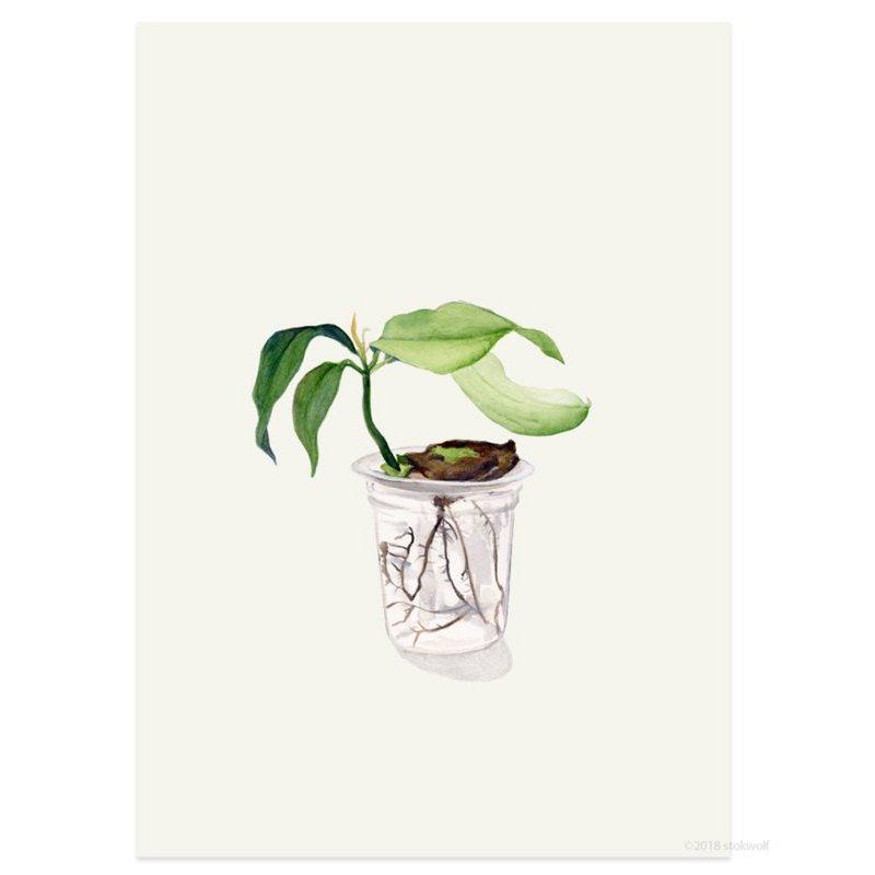 Stokwolf - Mangoplant-Kaart-DutchMills