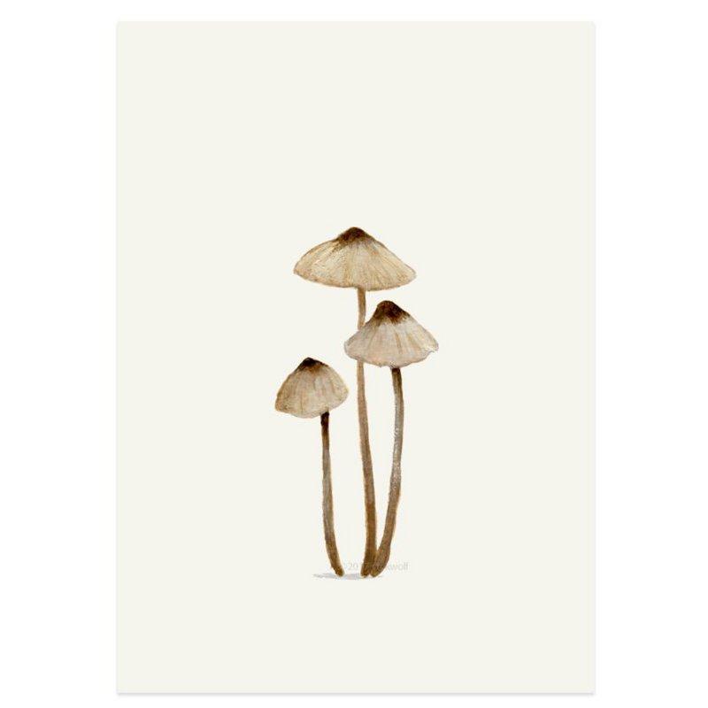 Stokwolf - Mycena-Kaart-DutchMills