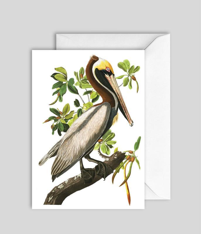 The Dybsahl Co. - Brown Pelican-Kaart-DutchMills