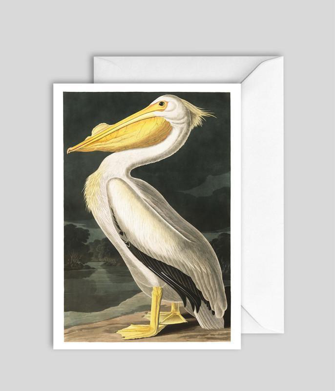 The Dybsahl Co. - White Pelican-Kaart-DutchMills